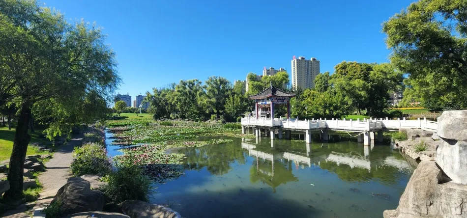 鹤岗鹤岗移动宽带